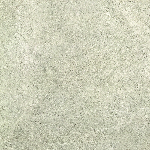 Archi White